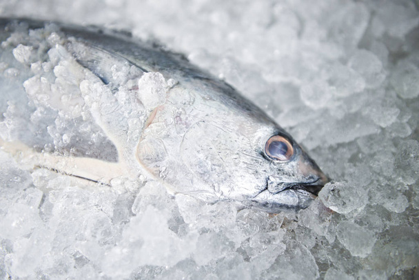 氷の背景に生の魚の魚介類、ロングテールマグロ、イースタンライト - 写真・画像