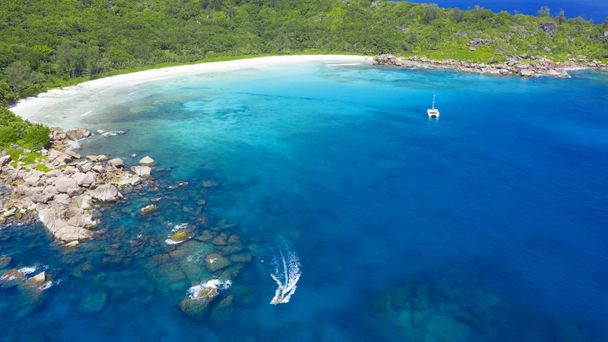 Tropische eilanden en stranden. Schildpadden. Schieten van de drone. Zuiver turkoois water van de oceaan. Wit koraalzand en blauwe lagunes. - Foto, afbeelding