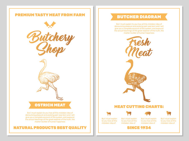 Butchery Shop poszter strucc húsvágó grafikonok arany színekben fehér Blackground. Vektor függőleges nyomtatási sablonok. Vázlat kézzel rajzolt Farm Animal Illusztráció. Hentesek útmutató diagram tervezés - Vektor, kép