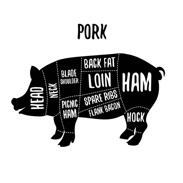 Pork meat cutting charts vector illustration for butchers shop guide. Label for farm design - Vector, Image