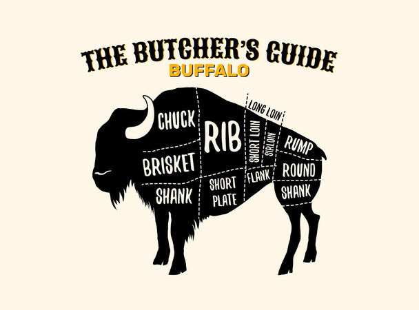 Buffalo cutting charts vector horizontal poster illustration for butchers shop guide. Label for farm design - Vector, Image