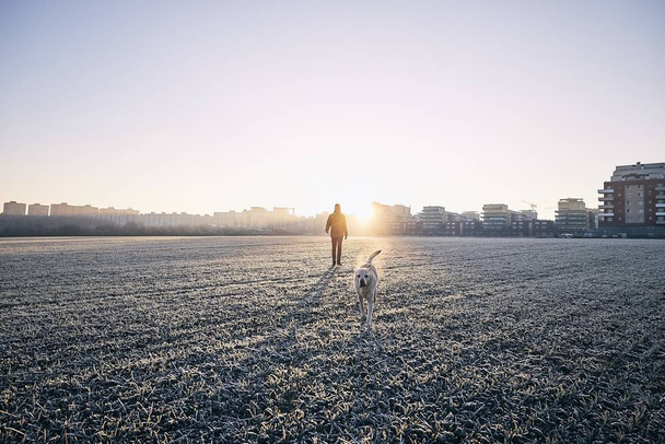 Köpekle dondurucu bir sabah - Fotoğraf, Görsel