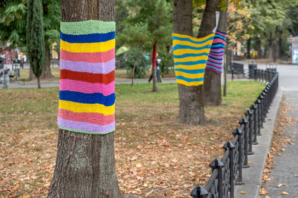 Árboles con coloridas bufandas de punto en el parque de otoño. Cuidado con usted.
 - Foto, Imagen