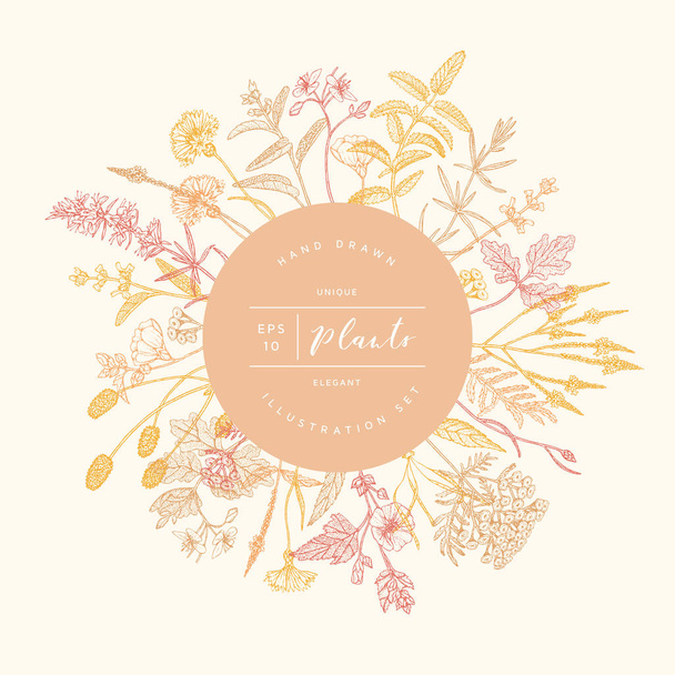 Vector floral banner. - Vector, Image