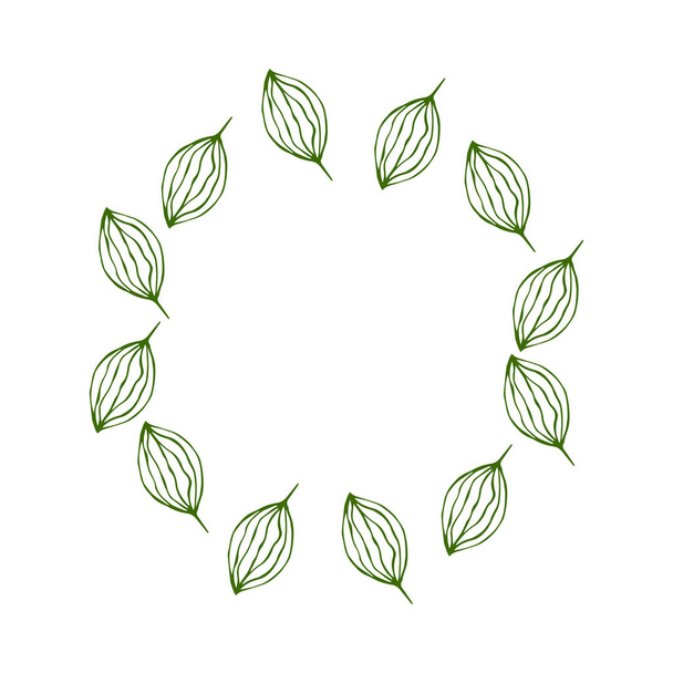 Vector Simple green leaf tree elements.  Doodle vector illustration for design, logo, greeting card. Hand drawn round frame with leaf and branches for summer and spring decoration.  - Fotoğraf, Görsel