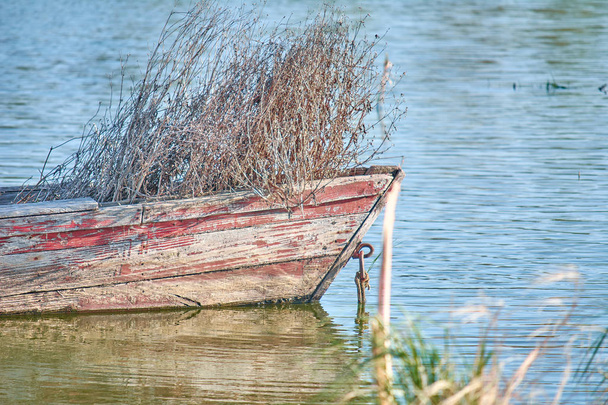 Oude vissersboot op het meer. Overgroeid met gras. Oud hout en - Foto, afbeelding