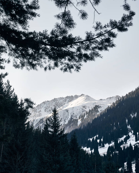 Landscape of snowy mountains  - Foto, Imagen
