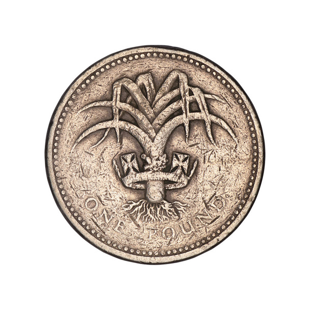 jedna libra mince s královnou v vráně - Fotografie, Obrázek