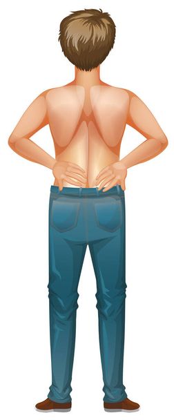 Спина человека стоя
 - Вектор,изображение