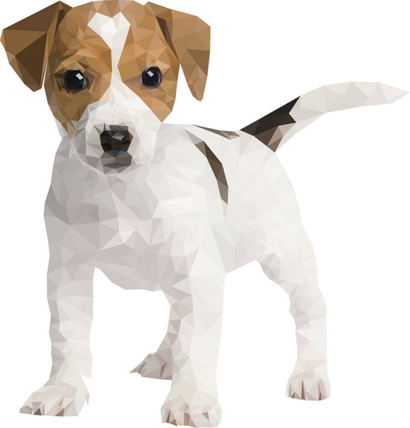 Jack Russell terrier cachorrinho baixo poli. Ilustração do vetor
. - Vetor, Imagem