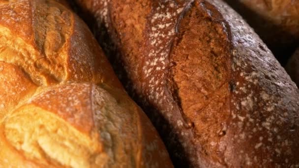 Sortiment chleba, čerstvě upečený - Záběry, video