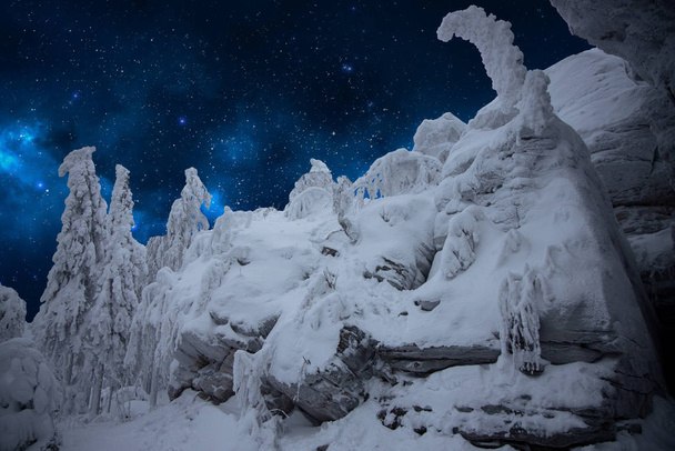 Talvinen metsä vuorilla tähtitaivaalla
 - Valokuva, kuva