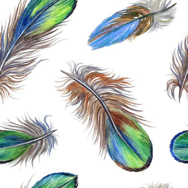 Seamless pattern of multi-colored bird feathers on a white background, watercolor illustration. - Foto, Imagem