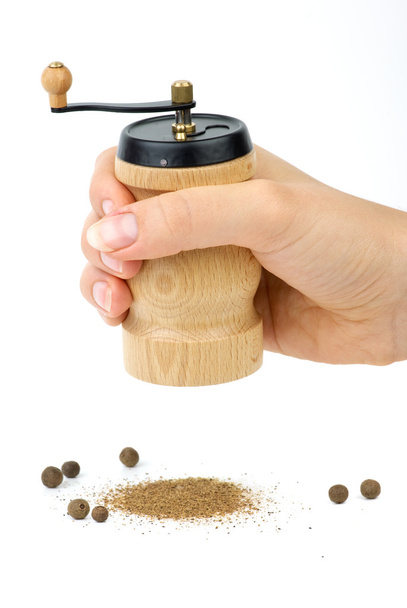 手とオール スパイス木製スパイス handmill - 写真・画像