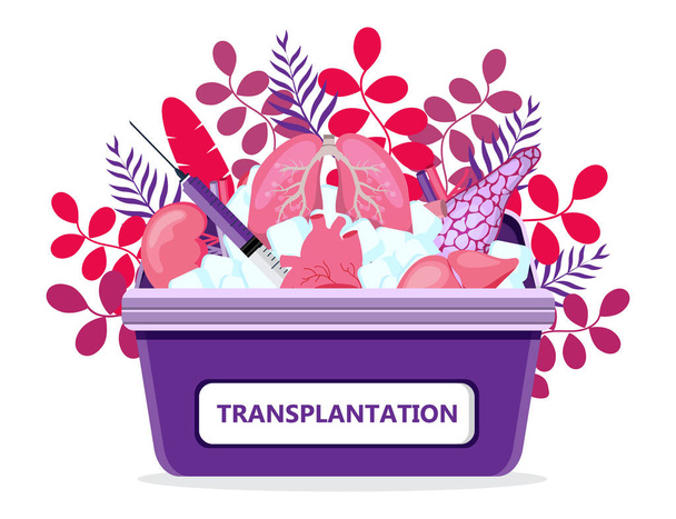 Konzeptvektor für menschliche Organtransplantation für Banner, Flyer, medizinische Website. Medizinische rote Hülle mit Eis. Tag oder Woche Organspender weltweit. Darm, Herz, Nieren, Bauchspeicheldrüse - Vektor, Bild
