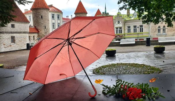 Automne à Tallinn Vieille ville soir rue café dans la ville lumière rose parapluie saison des pluies rue soir éclaircissement brouillant ville gens météo paysage, Voyage en Europe vacances
  - Photo, image