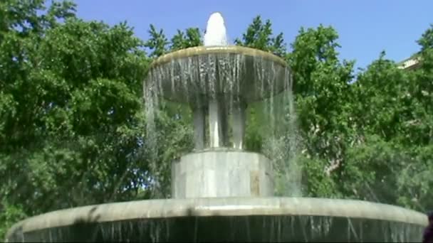 公園内の噴水 - 映像、動画