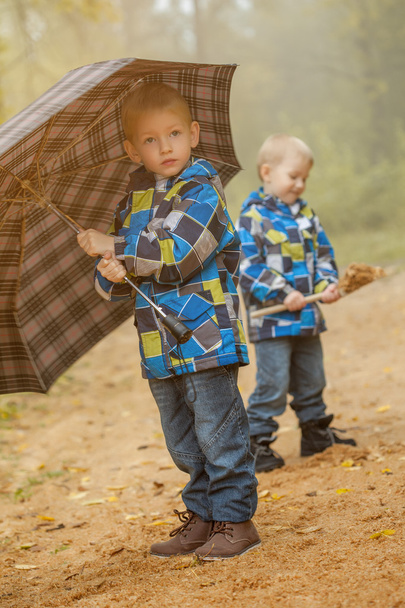 Cute twin brothers walking in autumn park - Valokuva, kuva