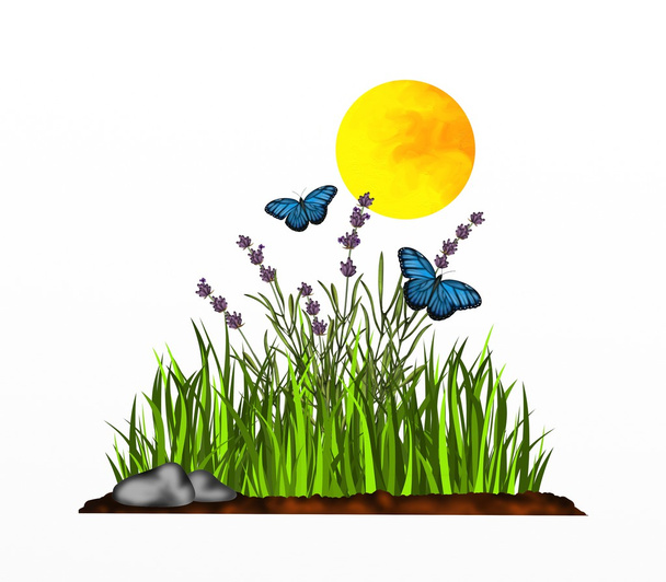 levandule a modré motýli - Fotografie, Obrázek