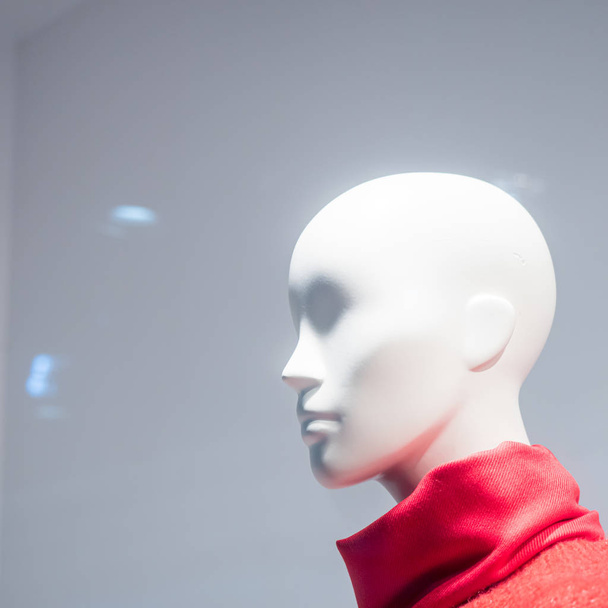 Female mannequins inside a fashion house - 写真・画像