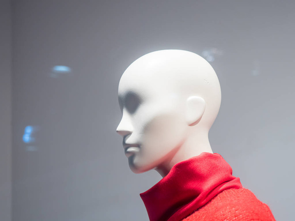 Female mannequins inside a fashion house - Фото, зображення