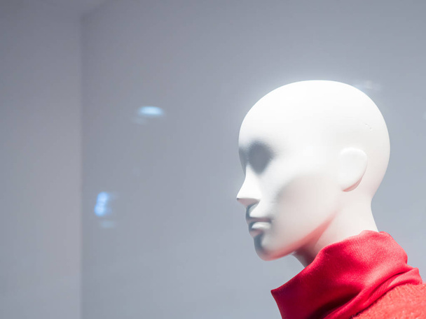 Vrouwelijke mannequins binnen een modehuis - Foto, afbeelding