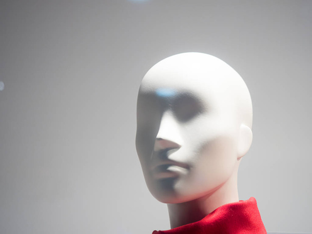 Female mannequins inside a fashion house - Фото, зображення