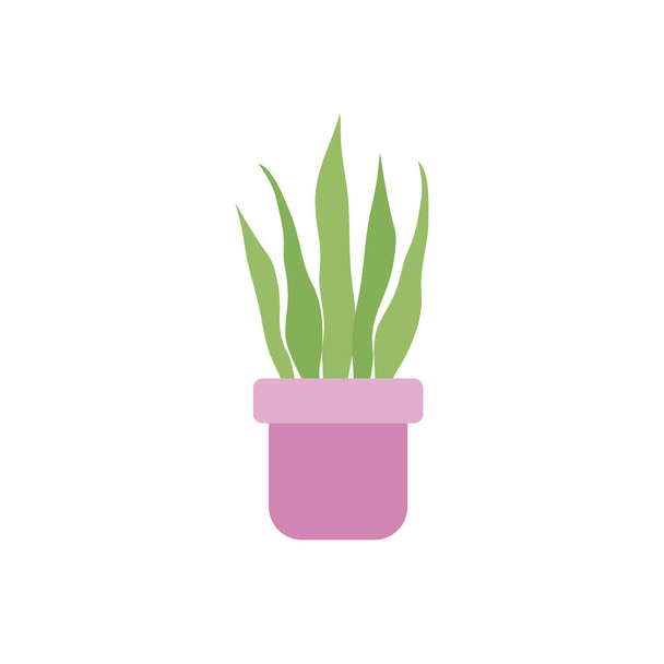 cerámica sanseviaria plantas icono plano - Vector, imagen