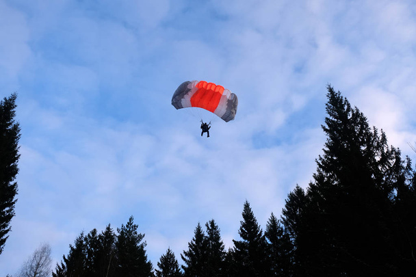 Parachutisme précis. Un parachutiste va atterrir dans la forêt
. - Photo, image