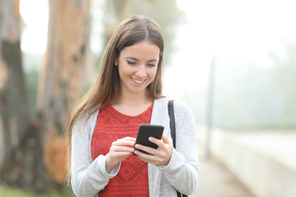 Mutlu kadın sisli bir günde parkta yürürken akıllı telefon kullanıyor. - Fotoğraf, Görsel
