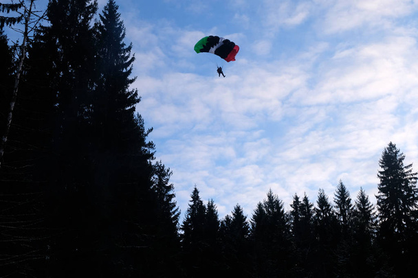 Точность прыжков с парашютом. Скайдайвер собирается приземлиться в лесу
. - Фото, изображение