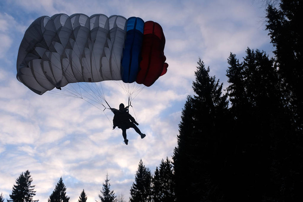 Точность прыжков с парашютом. Скайдайвер собирается приземлиться в лесу
. - Фото, изображение