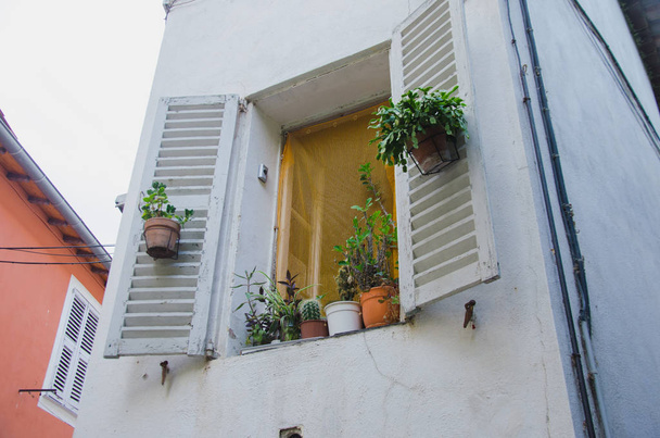 Oude raam met rolluiken in Provence stijl. Bloemen op een vensterbank. Menton, Frankrijk - Foto, afbeelding