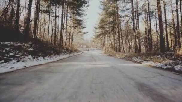 Zimowy Las Asfalt Śnieżny Droga Latająca Kamera Słoneczny Dzień Góra Puste Drzewa Rozbłyski Wycieczka - Materiał filmowy, wideo