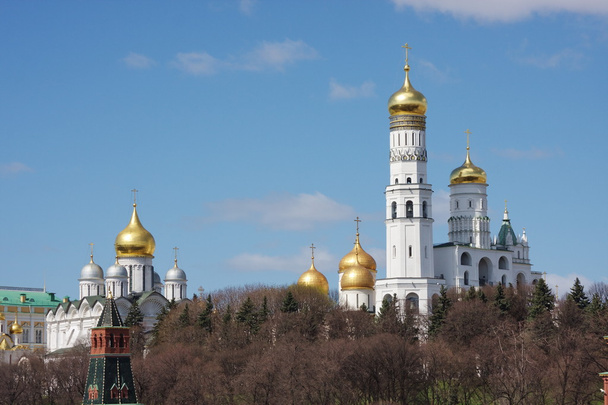 A cathedral of Archangel Mikhail is in Moscow - Photo, image