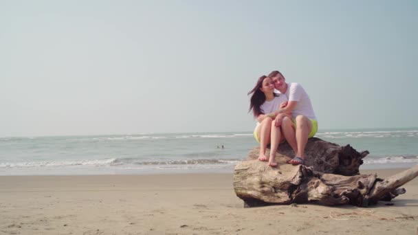 Glückliches Paar, das auf Treibholz am Meer sitzt. Liebespaar umarmt und rührt Nasen, während es auf Treibholz sitzt beim Date am Strand vor wogendem Meer und wolkenlosem Himmel - Filmmaterial, Video