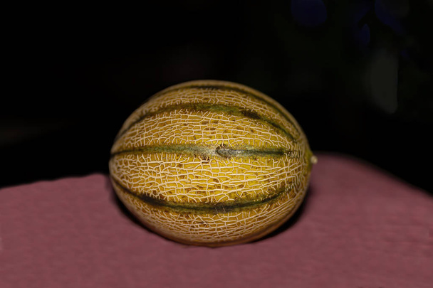 Charentais melon. It is a small variety of melon,but with a more fragrant smell.Most are now produced in North Africa, with some limited production in the United States.  - Photo, Image