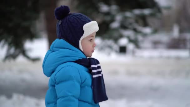 Lindo niño de cuatro años en ropa de invierno azul camina en la calle nevada
 - Metraje, vídeo