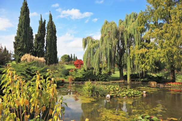 The picturesque pond - Fotoğraf, Görsel