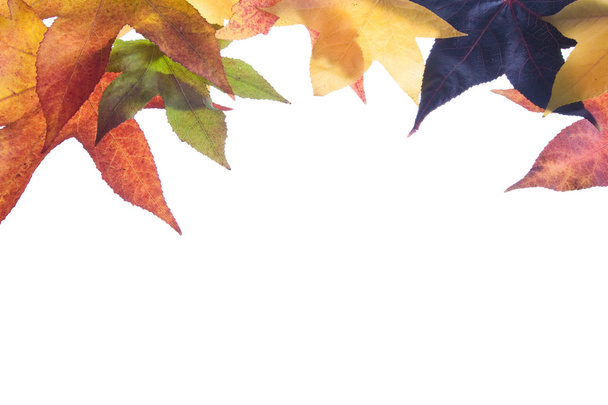 восени, Осінні листи
 - Фото, зображення