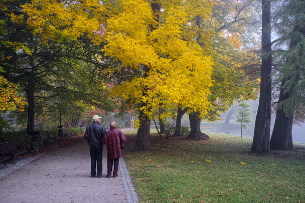 Senior couple in park - Fotoğraf, Görsel
