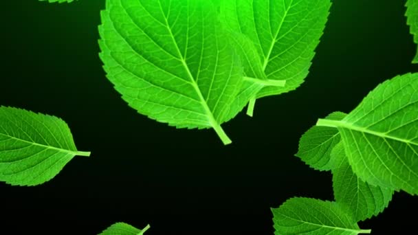 Vallende groene bladeren, 3D weergave. Computer gegenereerde mooie abstracte achtergrond - Video