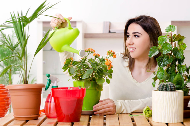 Young female gardener with plants indoors - Fotó, kép