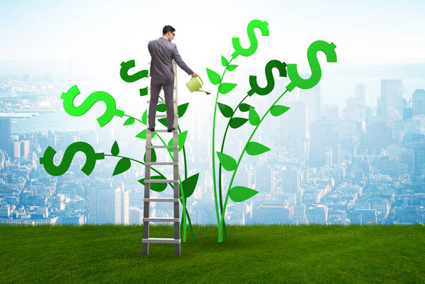 Concepto de árbol de dinero con riego de hombre de negocios
 - Foto, Imagen