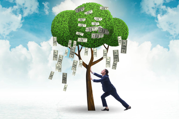 İş konseptinde para ağacı olan bir iş adamı - Fotoğraf, Görsel