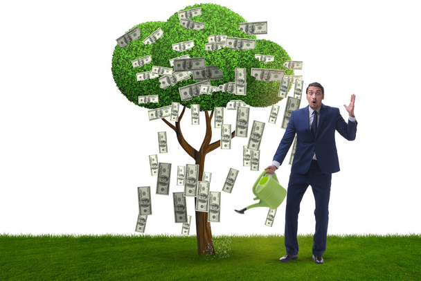 Yatırım konseptinde para ağacını sulayan iş adamı - Fotoğraf, Görsel