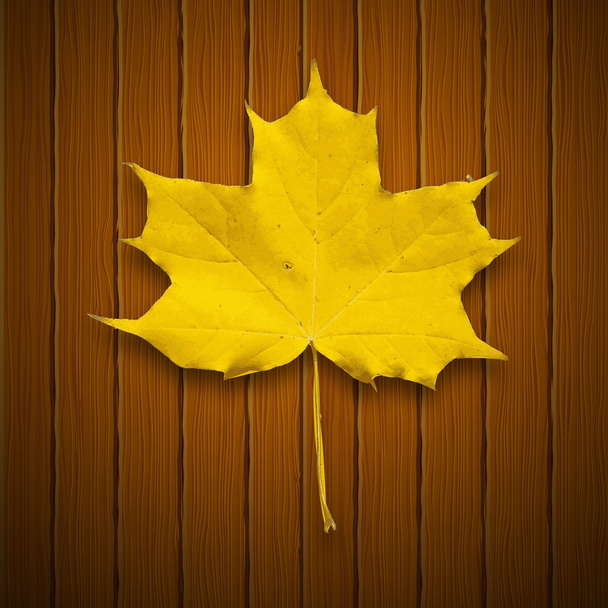 Vector background. Leaf. Autumn. - Vector, Image