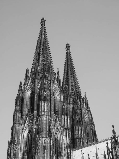 Καθεδρικός ναός του Αγίου Πέτρου στο Koeln, μαύρο και άσπρο - Φωτογραφία, εικόνα
