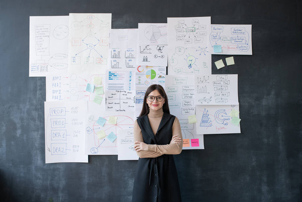 Fiatal, elegáns női közgazdász áll táblán folyamatábrákkal és diagramokkal papíron - Fotó, kép