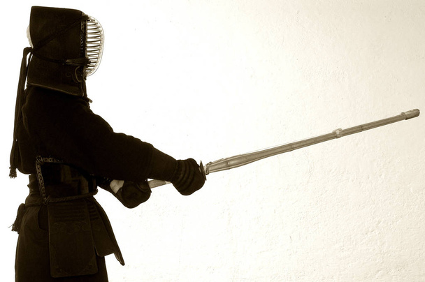 silhouette of a woman with a sword - Фото, изображение